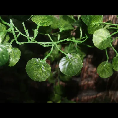 Realistic hanging plants for vivarium setup (4) Plastic terrarium plants for gecko tanks