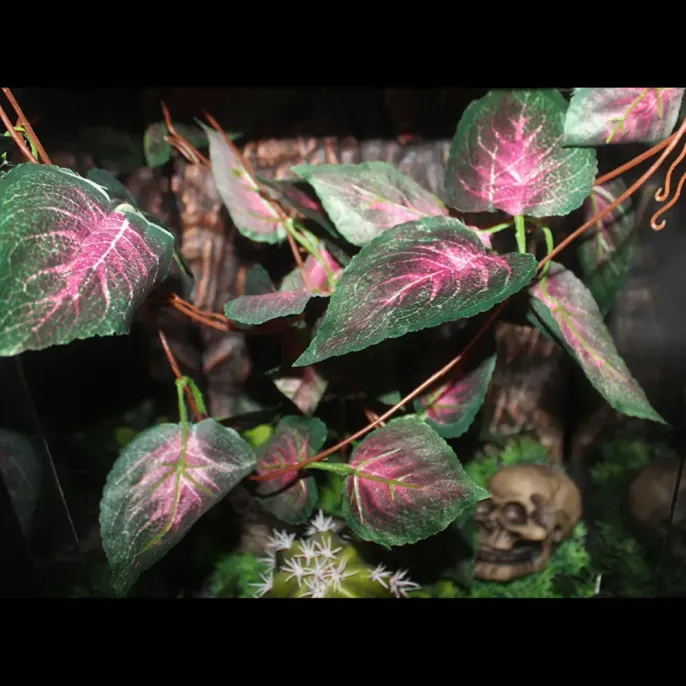 Flexible hanging leaves for rainforest setups