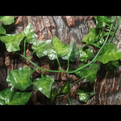Chameleon enclosure plant decoration