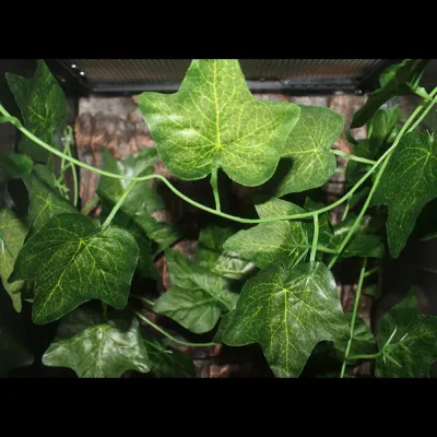 Artificial plant wall for reptile cage (4) Easy install faux plants for terrariums