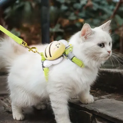 Cute Harness Leash Set