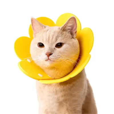 Flower Shape Cat Recovery Collar Elizabeth Collar Flower Shape Cat Recovery Collar Elizabeth Collar