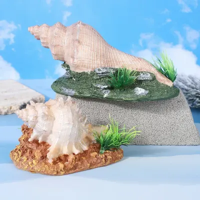 Realistic conch design adds natural marine style (4) Unique resin shell cave for aquatic display themes