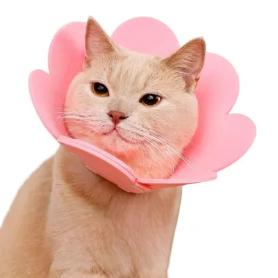 Cat Elizabeth Collar Cat Elizabeth Collar