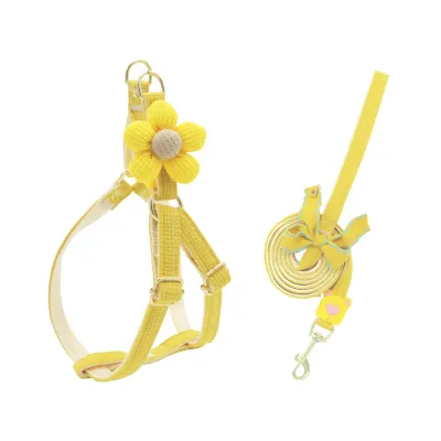 Small Dog Leash and Harness Set