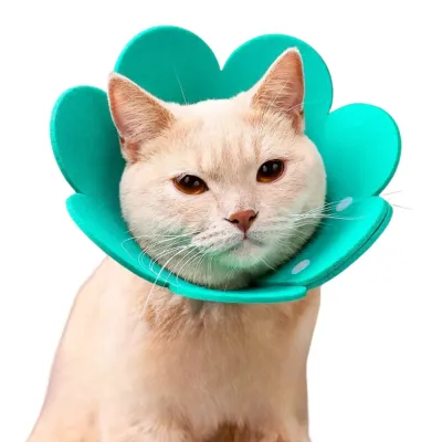 Cat Recovery Elizabeth Collar Cat Recovery Elizabeth Collar