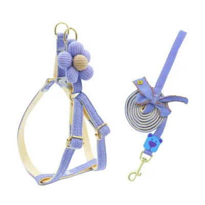 Blue Dog Leash and Harness Set
