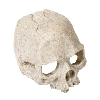 Halloween skull decoration for aquarium (7) Resin skull hiding house for fish tanks