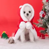 Pet Christmas Outfit Pet Christmas Outfit
