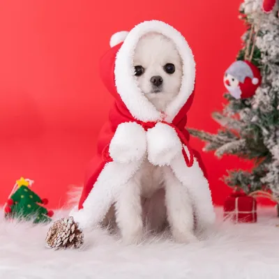 Pet Christmas Outfit Pet Christmas Outfit