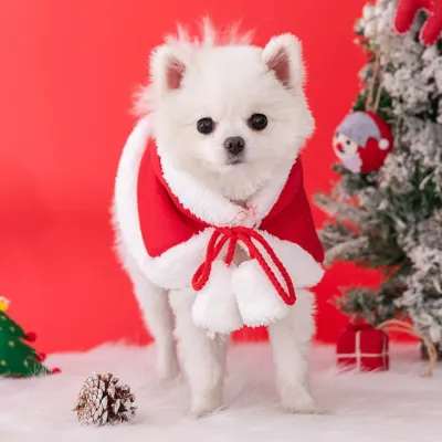 Wholesale Pet Winter Outfit Wholesale Pet Winter Outfit