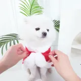 Pet Winter Outfit Pet Winter Outfit