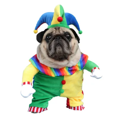 Funny Clown Pet Halloween Outfit