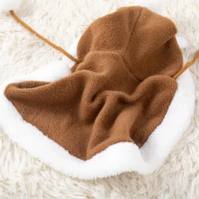 Cat Puppy Elk Cape Cat Puppy Elk Cape