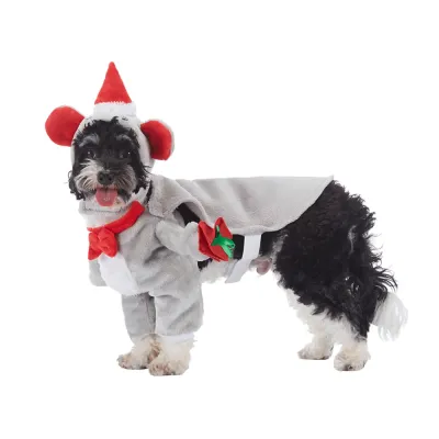 Dog Funny Appreal Dog Funny Appreal