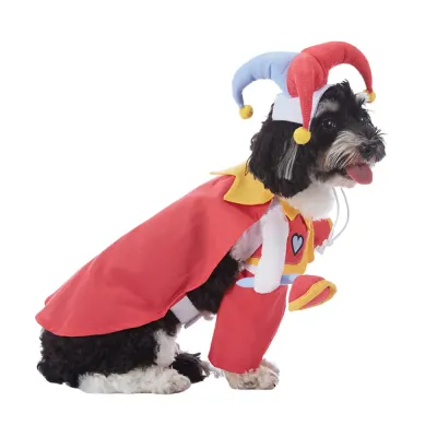 Dog Costume Dog Costume