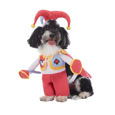 Red Clown Cosplay Dog Costume
