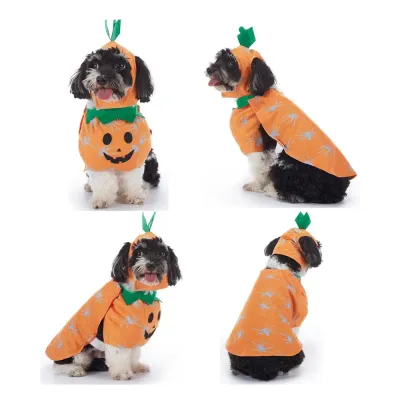 Pumpkin Color Dog Costume