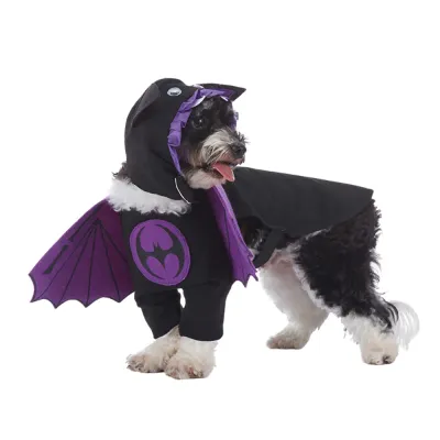 Pet Costume Pet Costume