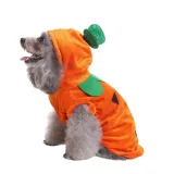 Halloween Dog Hoodie Outfit Halloween Dog Hoodie Outfit