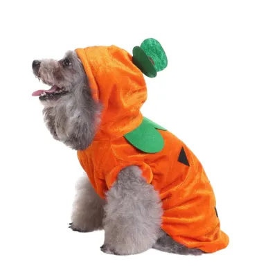 Halloween Dog Hoodie Outfit Halloween Dog Hoodie Outfit