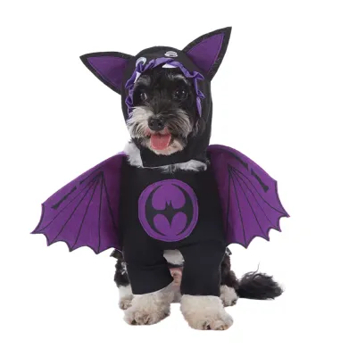 Halloween Dog Outfit Halloween Dog Outfit