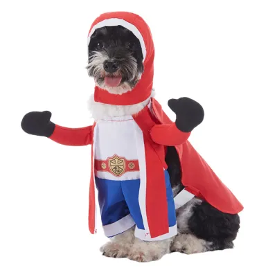 Funny Pet Outfit Funny Pet Outfit