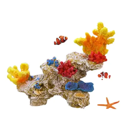 Coral tree structure allows shrimp and small fish to hide