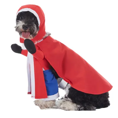Cute Pet Outfit Cute Pet Outfit