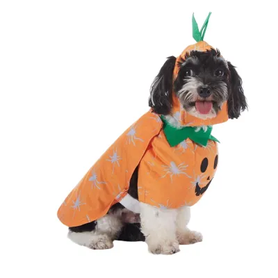 Pumpkin Halloween Dog Costume