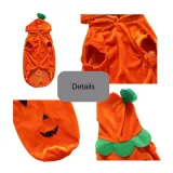 Cute Pet Hoodie Outfit Cute Pet Hoodie Outfit
