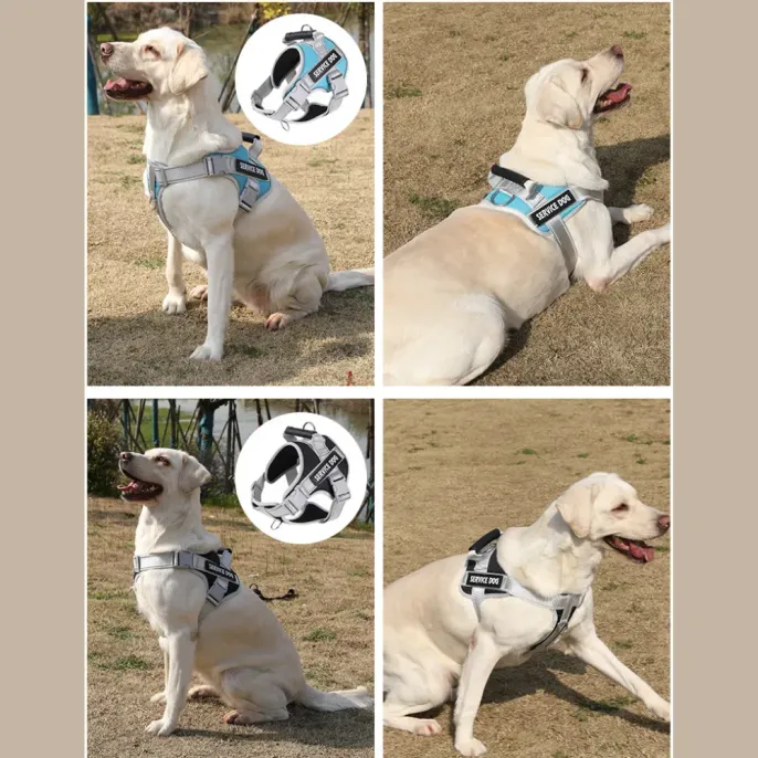 dog harness for daily walks
