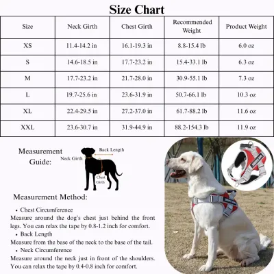 dog leash with harness labrador walking harness
