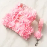 dog harness for poodle