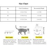 bichon dog harness