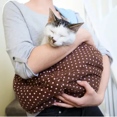 Pet Dogs Carrier Bags Pet Dogs Carrier Bags