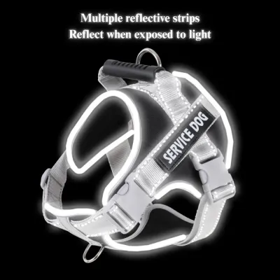padded dog walking gear training harness for dogs