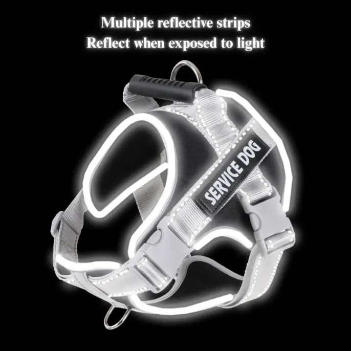 training harness for dogs