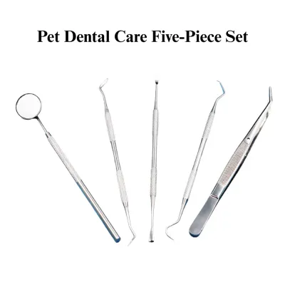 dog teeth cleaning tools pet tartar scraper
