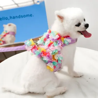 bichon dog harness