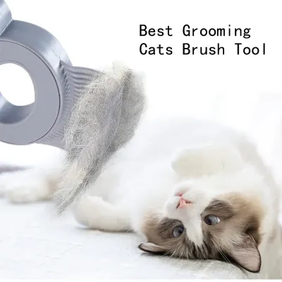 Pet Hair Shedding Grooming Pet Hair Shedding Grooming