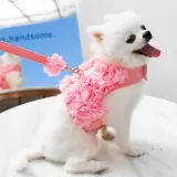 pet harness for daily walks