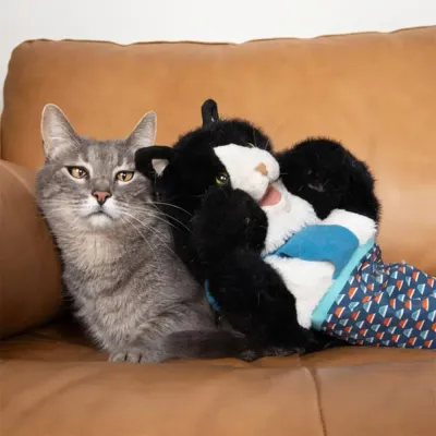 interactive cat toy plush puppet cat toy