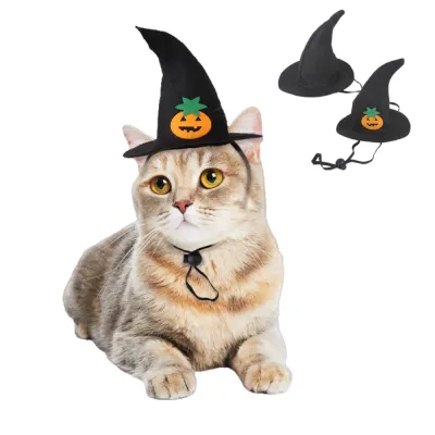 Black Pet Wizard Hat