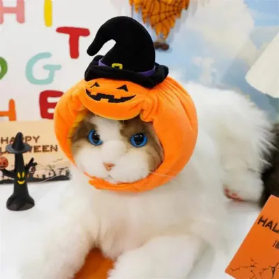 Adorable Pumpkin Cat Hats Adorable Pumpkin Cat Hats