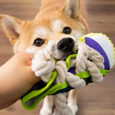 Sneakers Canvas Shoes Shape Dog Chew Toys dog toys Sneakers Canvas Shoes Shape Dog Chew Toys