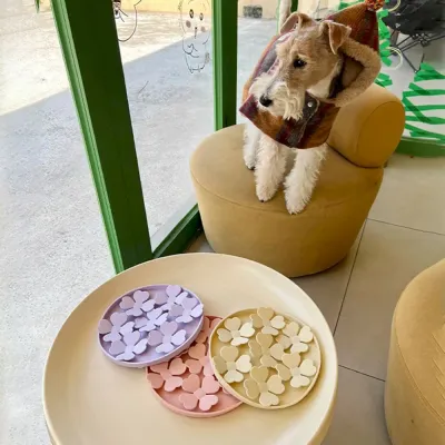 Petal-Shaped Dog Licking Mat Wholesale Petal-Shaped Dog Licking Mat Wholesale