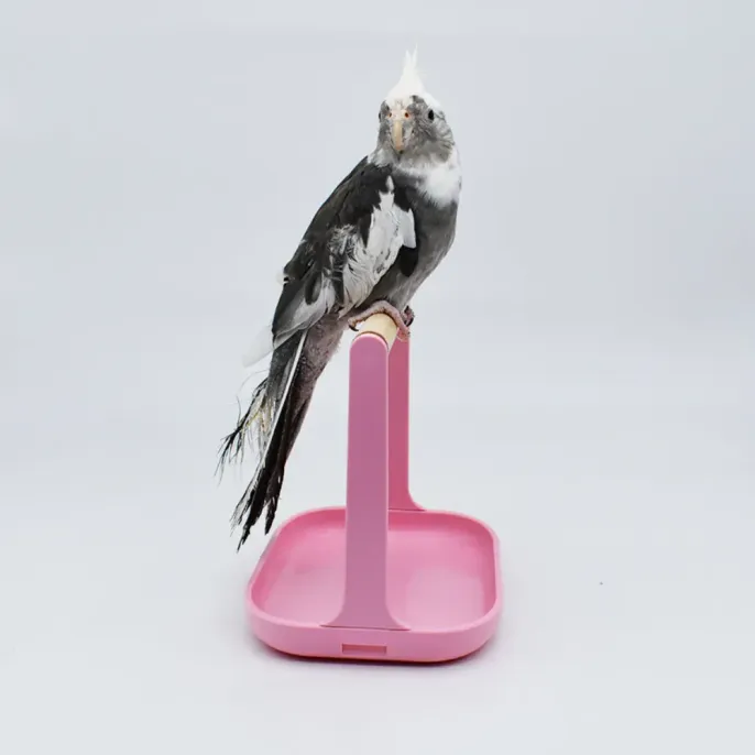 bird cage accessory pet bird climbing stand