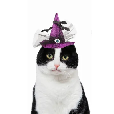 Purple Halloween Pet Hat Purple Halloween Pet Hat