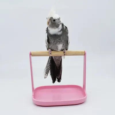 finch training platform
